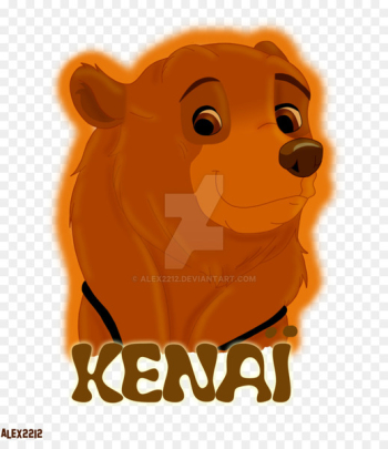 Lion Bear Dog Cat Illustration - lion Lion Bear Dog Cat Illustration - lion