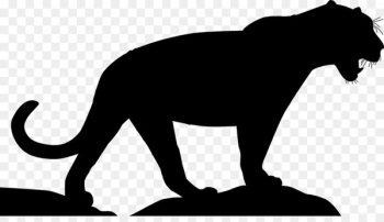 Lion Cat Terrestrial animal Pet Clip art - Lion Cat Terrestrial animal Pet Clip art -