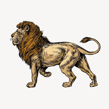 Lion collage element, vintage illustration | Free Vector Illustration - rawpixel Lion collage element, vintage illustration | Free Vector Illustration - rawpixel