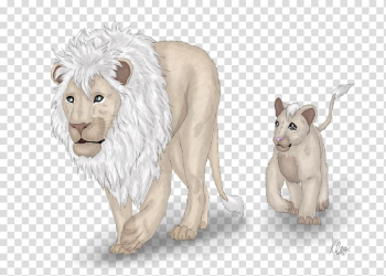 Lion Dingo Gift, lion transparent background PNG clipart Lion Dingo Gift, lion transparent background PNG clipart
