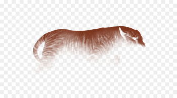 Lion Dog Fang Agility Smarts - lion Lion Dog Fang Agility Smarts - lion