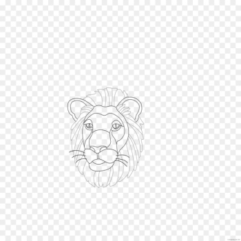 Lion Tiger Sketch Line art Whiskers - lion Lion Tiger Sketch Line art Whiskers - lion
