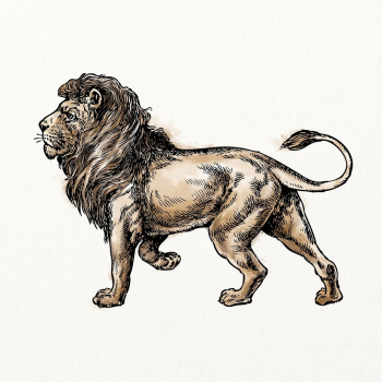 Lion watercolor, animal illustration, vintage | Free Photo Illustration - rawpixel