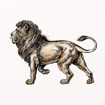 Lion watercolor clipart, wildlife illustration | Free PSD Illustration - rawpixel