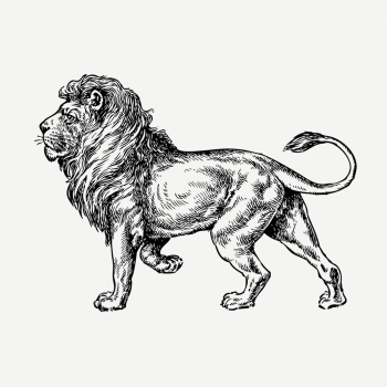 Lion, wild animal illustration psd. | Free PSD Illustration - rawpixel Lion, wild animal illustration psd. | Free PSD Illustration - rawpixel