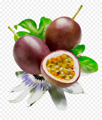 Lipstick Passion Fruit Food Cosmetics - Lipstick Passion Fruit Food Cosmetics -