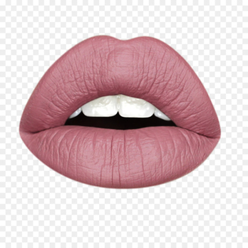 Lipstick Posy Beauty Lip balm Cruelty-free Cosmetics - lipstick 