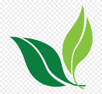 List-style - Wellness Perth Natural Medicine List-style - Wellness Perth Natural Medicine