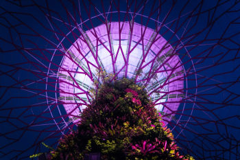 Lit up supertree at Gardens by the Bay, Singapore. 