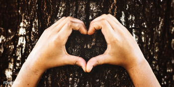 Little boy making a heart shape on a tree | Free stock photo - 430964 Little boy making a heart shape on a tree | Free stock photo - 430964