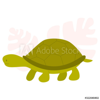 Little cute tortoise Little cute tortoise