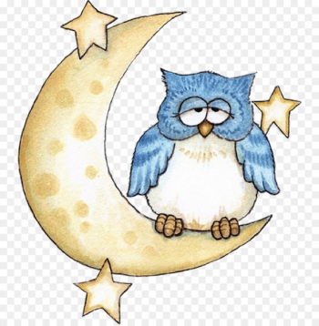 Little Owl Drawing - owl Little Owl Drawing - owl