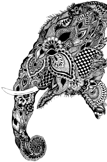 LIVE TRACE ELEPHANT HEAD PAISLEY | LIVE TRACE ELEPHANT HEAD PAISLEY |