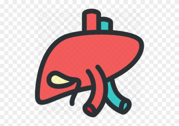 Liver, Medical, Teeth, Dentist, Health, Dental Icon - Liver Cartoon Png