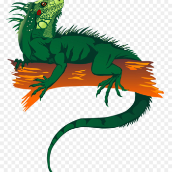 Lizard Green iguana Reptile Clip art Image - lizard Lizard Green iguana Reptile Clip art Image - lizard