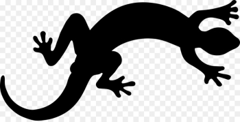 Lizard, Reptile, Gecko, Amphibian, True Salamanders And Newts PNG