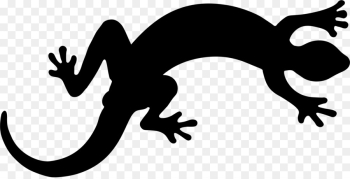 Lizard, Reptile, Gecko, Amphibian, True Salamanders And Newts PNG