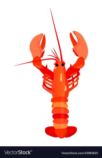 lobster lobster