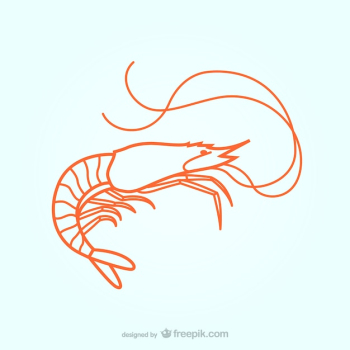 Lobster illustration Lobster illustration