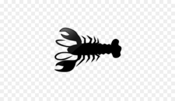 Lobster Oyster Computer Icons Seashell Icon design - Png Lobster Save 