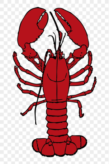 Lobster png sticker seafood illustration, | Free PNG - rawpixel