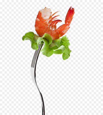 Lobster Seafood Ingredient Recipe - Gourmet lobster Lobster Seafood Ingredient Recipe - Gourmet lobster