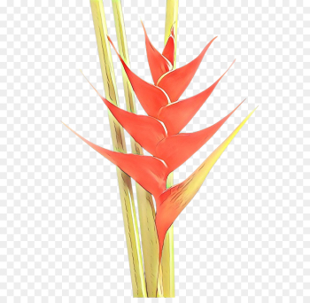 Lobsterclaws, Cut Flowers, Plant Stem, Heliconia, Plant PNG Lobsterclaws, Cut Flowers, Plant Stem, Heliconia, Plant PNG