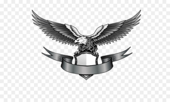 Logo Eagle - Eagle logo PNG image, free download Logo Eagle - Eagle logo PNG image, free download