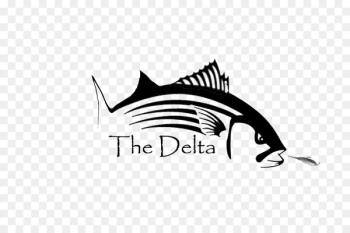 Logo Graphic design Font Automotive design Car - elk river tn fishing report 