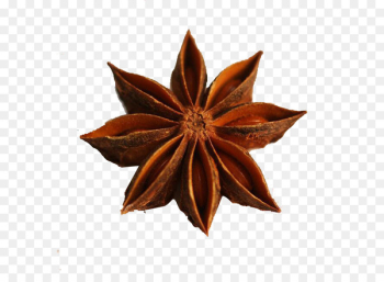 Logo Photography Illustration - A star anise Logo Photography Illustration - A star anise