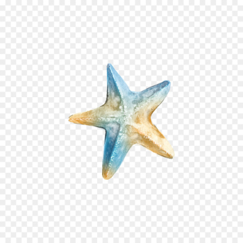 Logo Ta Clip art - Watercolor starfish Logo Ta Clip art - Watercolor starfish