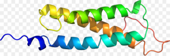 Logo, Text PNG Logo, Text PNG