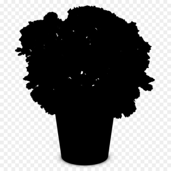Logo Woman Silhouette Female Photography - Logo Woman Silhouette Female Photography -