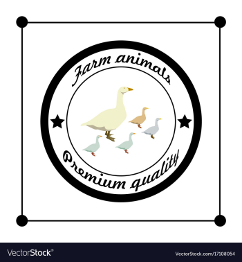 Logos and badges farm animals geese vector image Logos and badges farm animals geese vector image