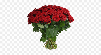 Long Stem Red Roses - 100 Red Roses Bouquet Long Stem Red Roses - 100 Red Roses Bouquet