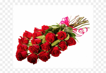 Long Stemmed Red Roses Bouquet - Garden Roses Long Stemmed Red Roses Bouquet - Garden Roses