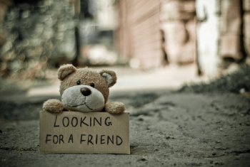 Looking for a Friend Bear Looking for a Friend Bear