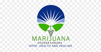 Looking To See If You Qualify For Medical Marijuana - Png Medical Marijuana Help