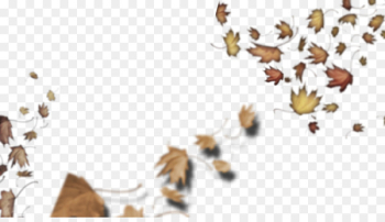 Loose Leaves by Lesley Clargo Honey bee Insect Illustration - insect 