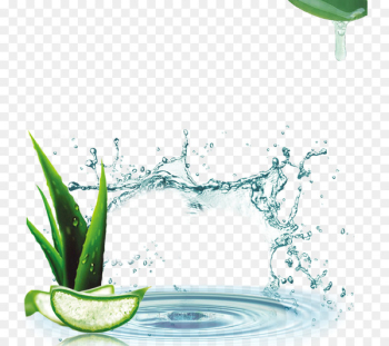 Lotion Aloe vera Cream Cosmetics - Aloe cosmetics Taobao Straight 