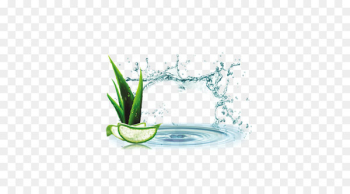 Lotion Aloe vera Cream Cosmetics Gel - Aloe vera replenishment material 