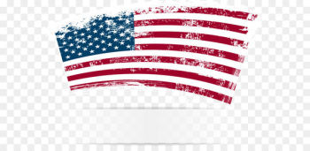 Lotion Spray bottle High-density polyethylene Liquid - American flag vector ink 