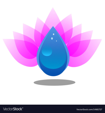 Lotos and drop image vector image Lotos and drop image vector image