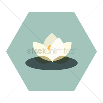 Lotus Lotus