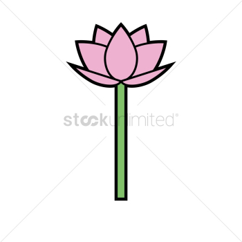Lotus Lotus