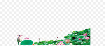 Lotus background Lotus background