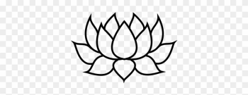 Lotus - Flor De Lotus Desenho Lotus - Flor De Lotus Desenho