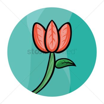 Lotus flower Lotus flower