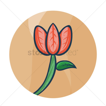 Lotus flower Lotus flower