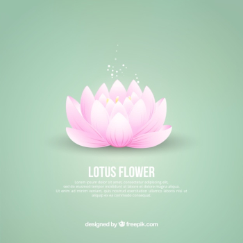 Lotus flower background Lotus flower background